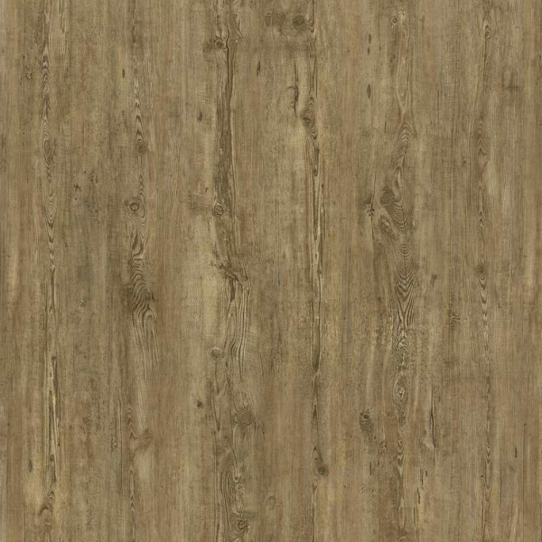 Amorim Designboden Wood Go