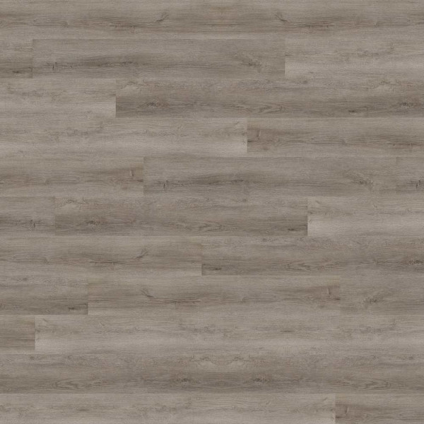 Grauer Klick-Vinylboden im Design Gobi Desert Oak. Die Fläche zeigt einen gleichmäßigen, träumerischen Holzlook mit variierenden Farbtönen und Struktur. Ideal für moderne Wohnräume.