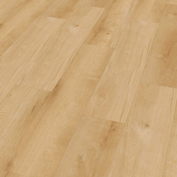 Heller Klick-Vinylboden in Eicheoptik mit einer strukturierten Oberfläche. Die Paneele sind gleichmäßig verlegt und zeigen eine natürliche Holzmaserung.