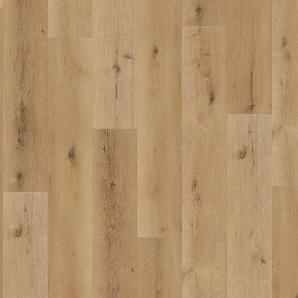Parador Designboden Trendtime 8