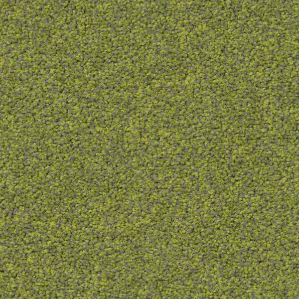 Vorwerk Teppichboden Frisea 1012