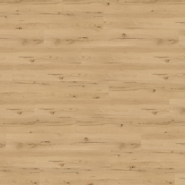 Wineo Designboden 1200 wood XXL