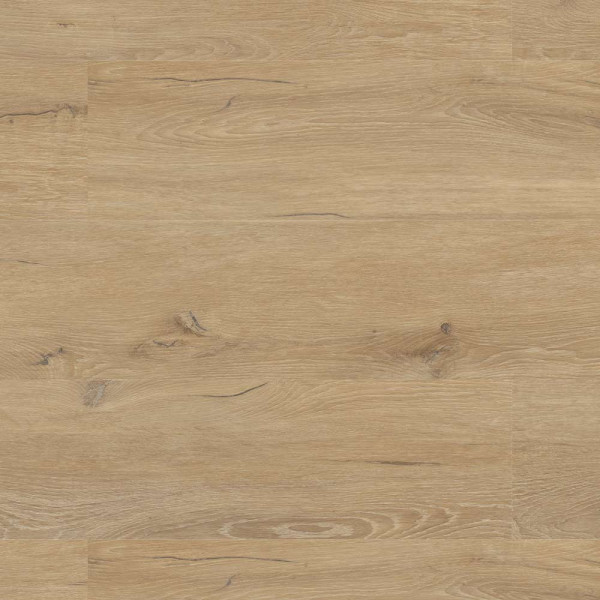 Planke Black Line 30 Synchron