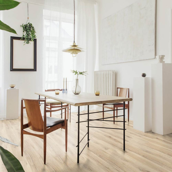 Helle, naturalistisch gestaltete Bodenfläche aus Daintree-Klebe-Vinyl mit unterschiedlicher Holzmaserung und sanften Farbnuancen. Die Oberfläche wirkt modern und einladend.