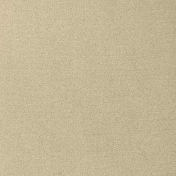 Teppichboden Passion 1000