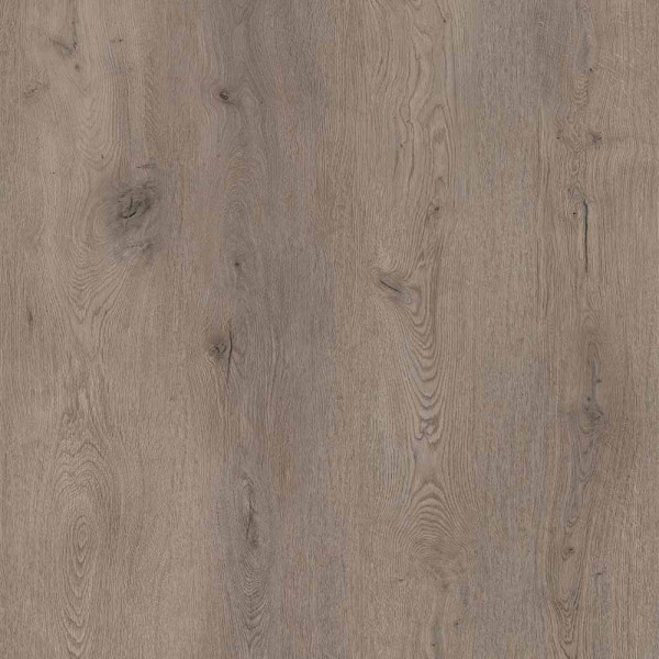 Holzboden mit einer hellen, natürlichen Optik und sichtbaren Maserungen. Die Struktur zeigt verschiedene Brauntöne und kleine Äste, die das Material authentisch wirken lassen.