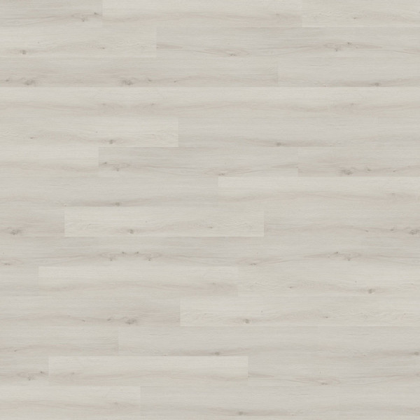 Klick-Vinylboden in hellgrauer Eiche mit einem natürlichen Holzlook. Die Oberfläche wirkt glatt und gleichmäßig, ideal für moderne Innenräume. Erhältlich zu einem Preis von 32,99 € pro Quadratmeter.