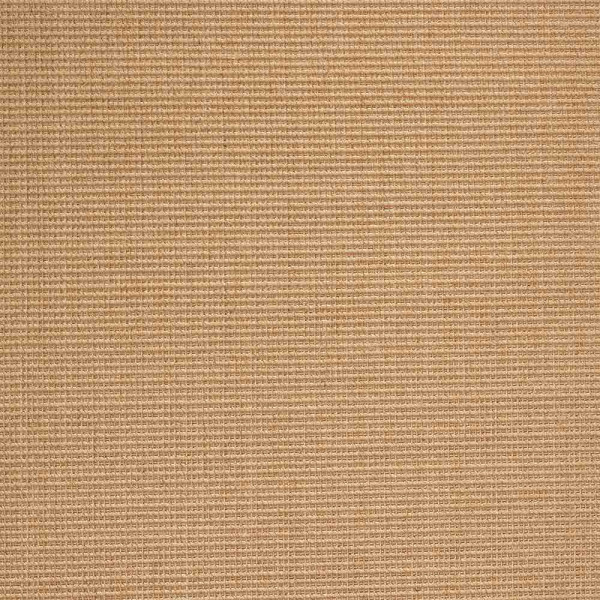 Teppichboden Brasilia beschichtet