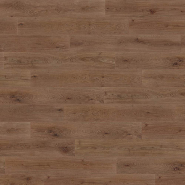 Wineo Designboden 1000 wood XL