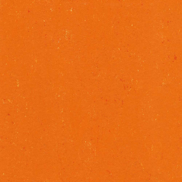 Kumquat Orange Uni Dekor des Gerflor Colorette Acoustic Plus Linoleums auf einer einfarbigen Fläche. Der Preis beträgt 54,99 € pro Quadratmeter.