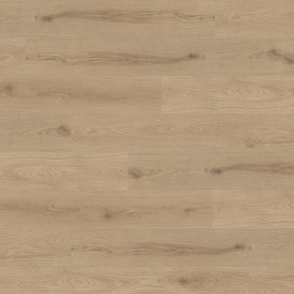 Klebe-Vinylboden in Eiche Agave mit hellen Holztönen zeigt eine gleichmäßige Oberflächenstruktur. Der Boden eignet sich für Wohnräume und wird online derzeit nicht angeboten.