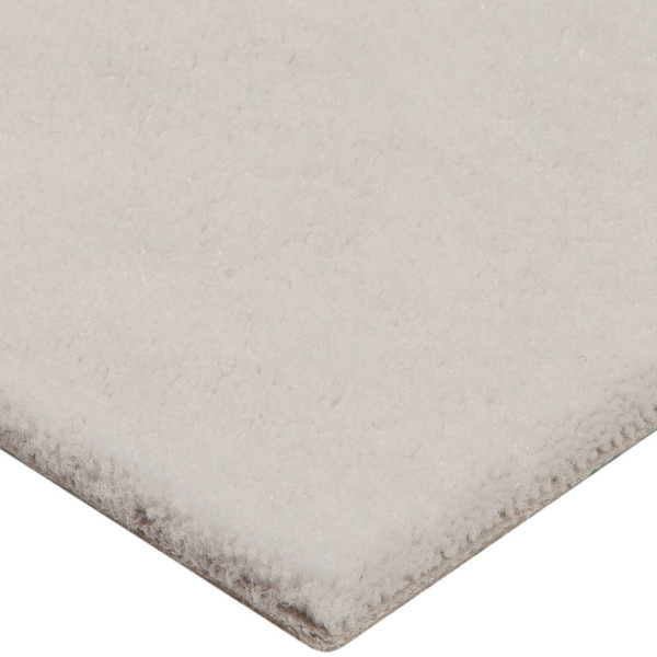 Vorwerk Superior 1069