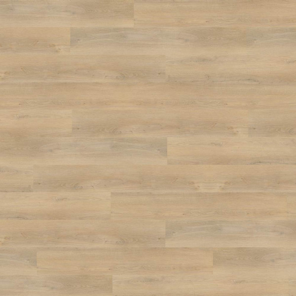 Helle Vinylbodenfläche in Holzoptik mit sanften Maserungen. Der Boden wirkt modern und einladend, ideal für Wohnräume oder Büros. Gestoßenes Dekor in hellem Beige.