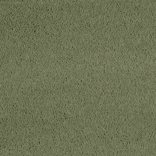 Vorwerk Superior 1067