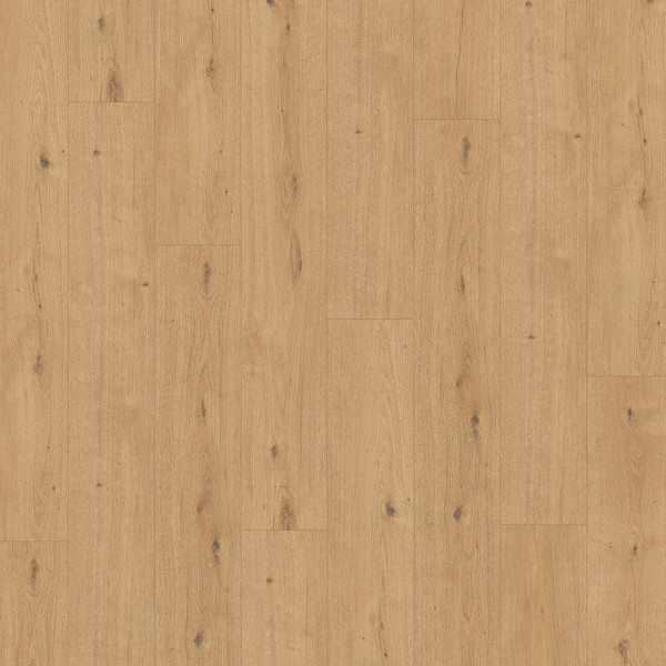 Parador Designboden Modular ONE