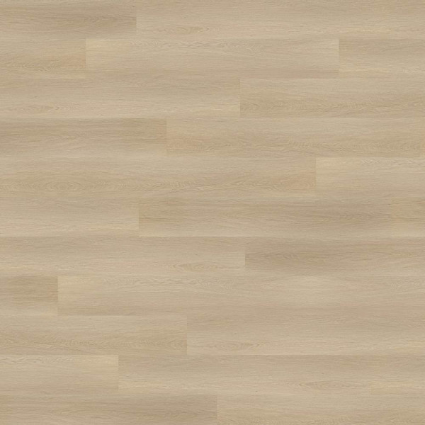 Helle, beige Holzoptik der Wineo Designboden Home wood XL Klebe-Vinylboden-Oberfläche. Der Boden ist glatt und gleichmäßig strukturiert mit verschiedenen Holzmaserungen.