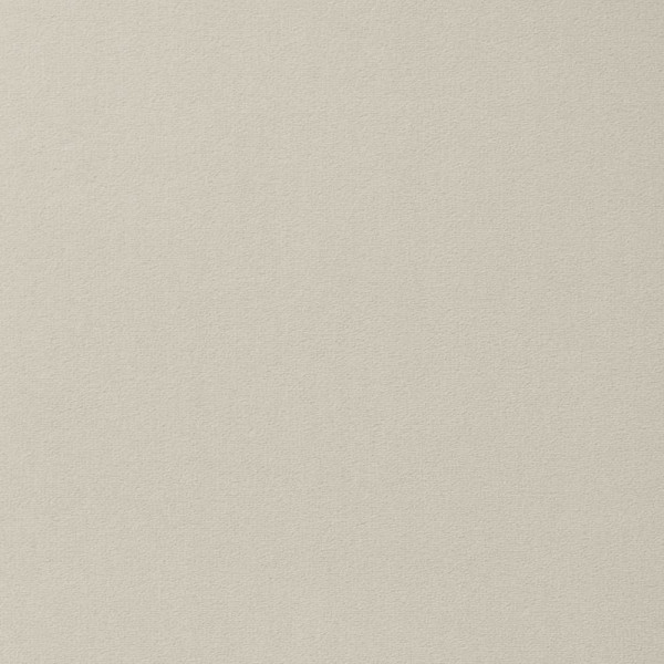 Teppichboden Passion 1000