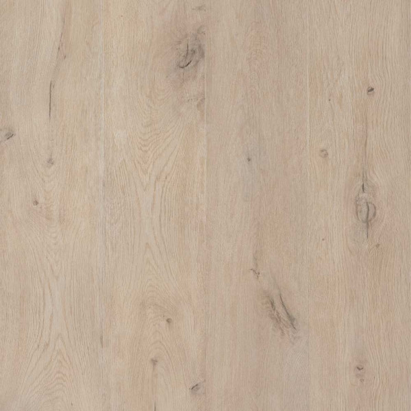 Helle, strukturierte Vinylplanken in Holzoptik sind parallel angeordnet. Die Oberfläche zeigt feine Maserungen und Linien, die einen natürlichen Look vermitteln.