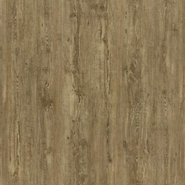 Amorim Designboden wood Start LVT