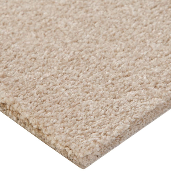 Vorwerk Exclusive 1066