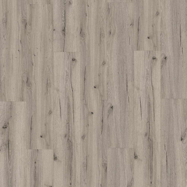 Barth & Co Klebe Vinyl x-cellent 50